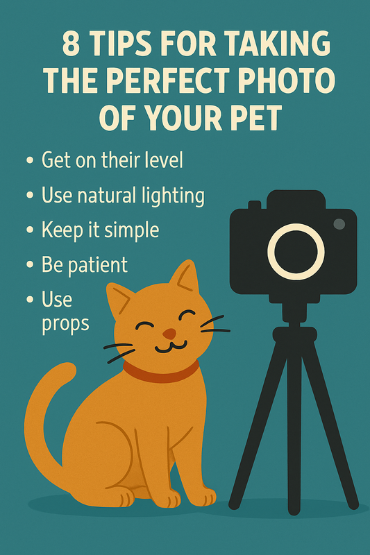 8 Tips for taking the perfect photo of your pet