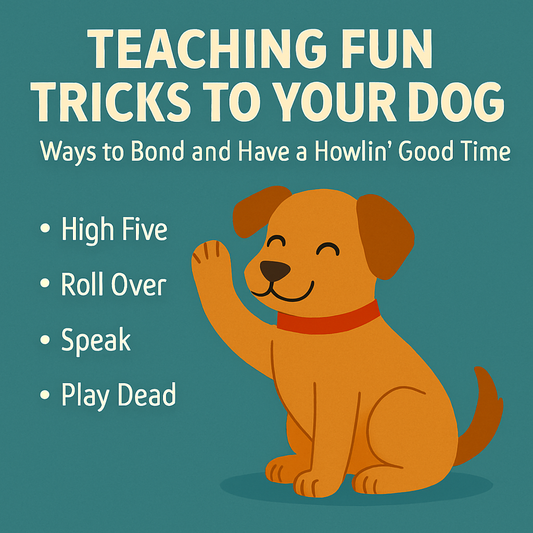 Easy ways to teach your pet tricks
