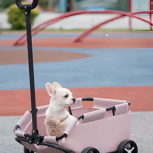 Foldable Pet Stroller: Glide in Style, Stroll in Comfort